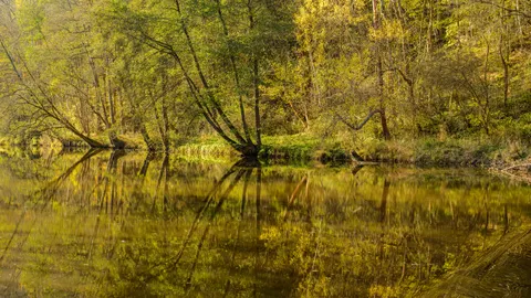 Autumn Lake 4K Wallpaper · autumn · 3840×2158