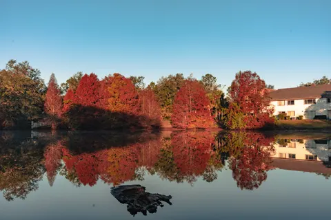 Autumn Lake 4K Wallpaper · autumn · 3840×2560