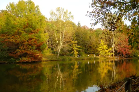 Autumn Lake 4K Wallpaper · autumn · 3840×2560
