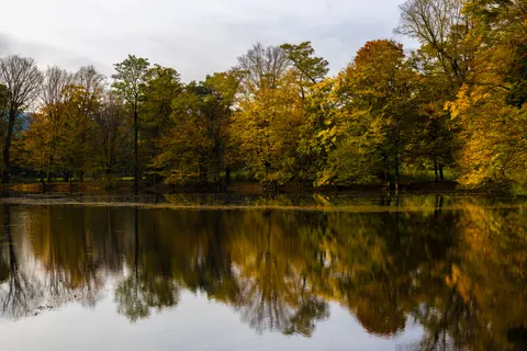 Autumn Lake 4K Wallpaper · autumn · 3840×2560