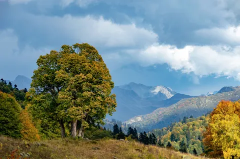 Autumn Mountains 4K Wallpaper · autumn · 3840×2553