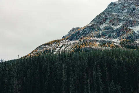 Autumn Mountains 4K Wallpaper · autumn · 3840×2561