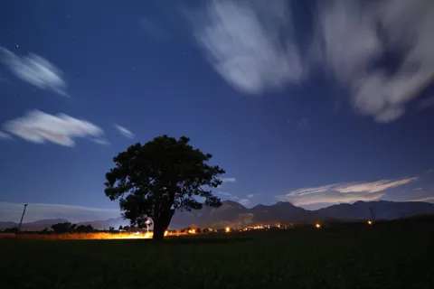 Starlit Silhouette 4K Wallpaper · space · 3840×2560