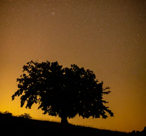 Starlit Silhouette 4K Wallpaper · space · 3840×3572
