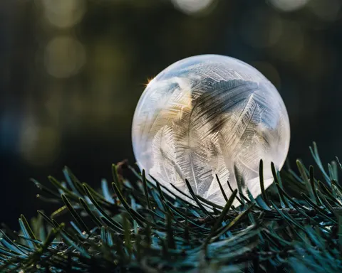 Soap Bubble 4K Wallpaper · abstract · 3840×3072