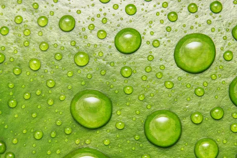 Oil Bubbles 4K Wallpaper · abstract · 3840×2560