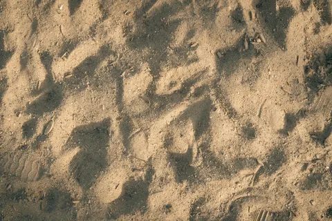 Sand Ripples 4K Wallpaper · minimal · 3840×2560
