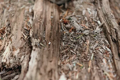 Wood Grain 4K Wallpaper · minimal · 3840×2563