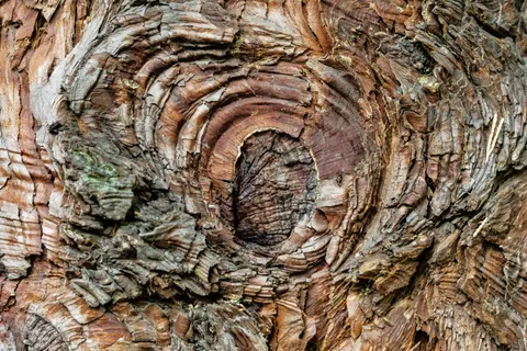 Wood Grain 4K Wallpaper · minimal · 3840×2560
