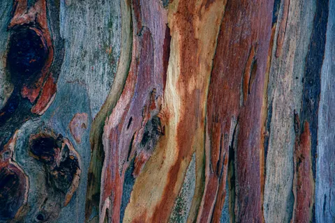 Wood Grain 4K Wallpaper · minimal · 3840×2560