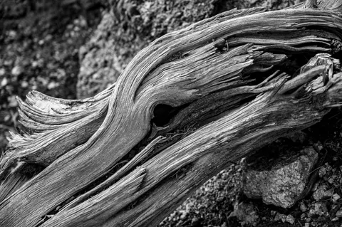 Wood Grain 4K Wallpaper · minimal · 3840×2555