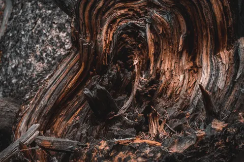 Wood Grain 4K Wallpaper · minimal · 3840×2555
