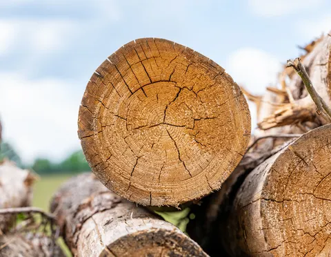 Wood Grain 4K Wallpaper · minimal · 3840×2976