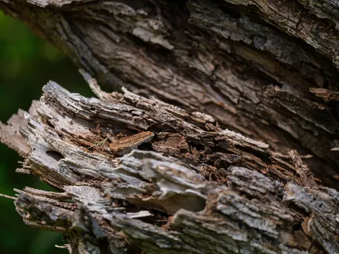 Wood Grain 4K Wallpaper · minimal · 3840×2880