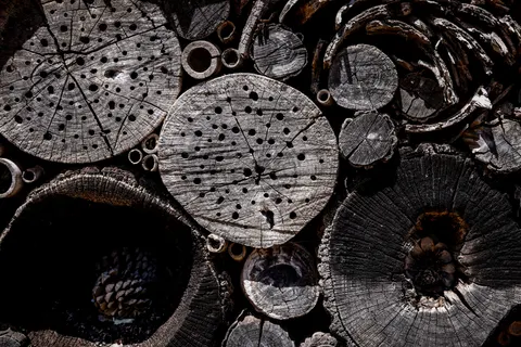 Wood Grain 4K Wallpaper · minimal · 3840×2561