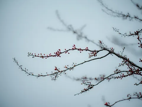 Foggy Minimal 4K Wallpaper · minimal · 3840×2878