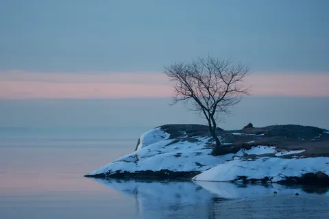 Lone Tree 4K Wallpaper · minimal · 3840×2560