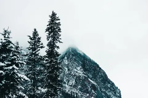 Lone Tree 4K Wallpaper · minimal · 3840×2561