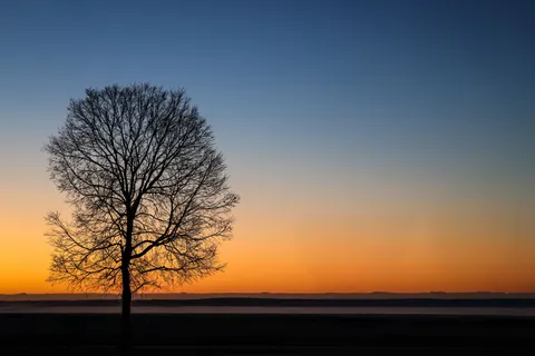 Lone Tree 4K Wallpaper · minimal · 3840×2561