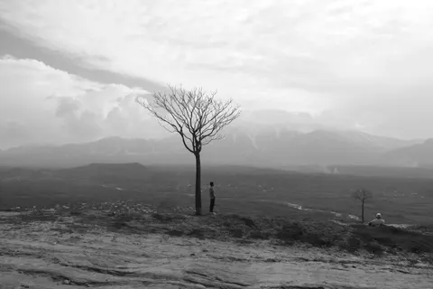 Lone Tree 4K Wallpaper · minimal · 3840×2560
