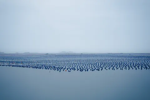 خلفية ماء ساكن بدقة 4K · minimal · 3840×2560