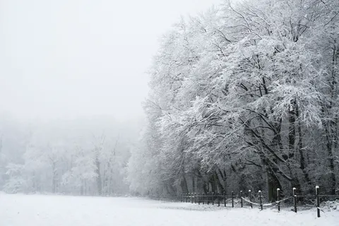 Snow Field 4K Wallpaper · minimal · 3840×2560
