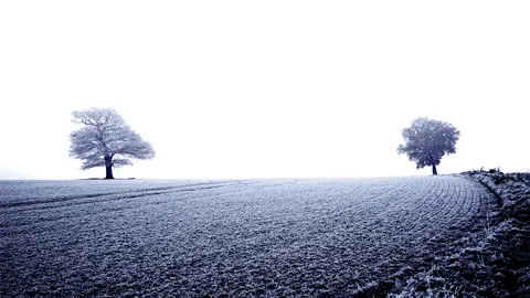 Snow Field 4K Wallpaper · minimal · 3840×2159
