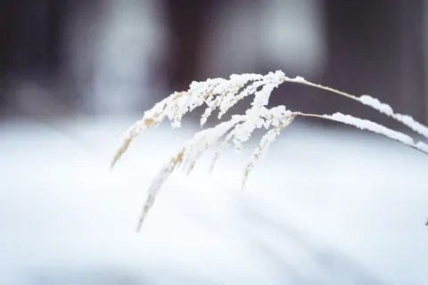 Snow Field 4K Wallpaper · minimal · 3840×2560