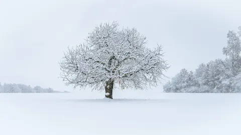 Snow Field 4K Wallpaper · minimal · 3840×2160