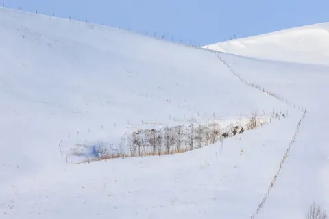 Snow Field 4K Wallpaper · minimal · 3840×2561