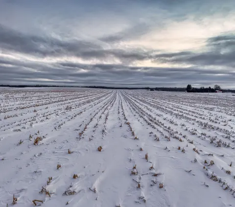 Snow Field 4K Wallpaper · minimal · 3840×3386