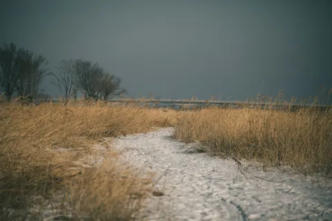 Snow Field 4K Wallpaper · minimal · 3840×2560