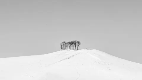 Snow Field 4K Wallpaper · minimal · 3840×2160