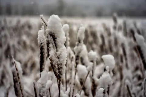 Snow Field 4K Wallpaper · minimal · 3840×2560