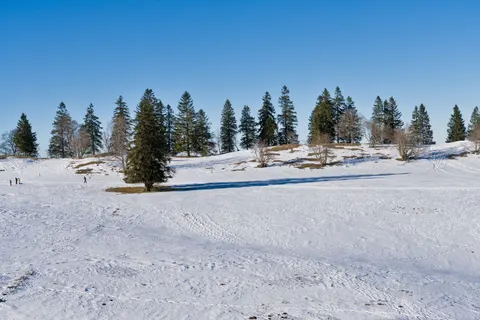 Snow Field 4K Wallpaper · minimal · 3840×2558