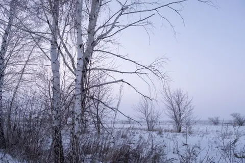 Snow Field 4K Wallpaper · minimal · 3840×2560