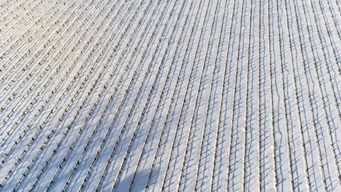 Snow Field 4K Wallpaper · minimal · 3840×2160
