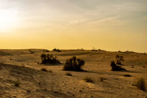 Dune Sunset 4K Wallpaper · minimal · 3840×2560