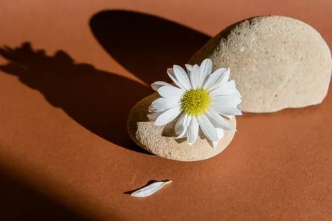 Zen Stones 4K Wallpaper · minimal · 3840×2560