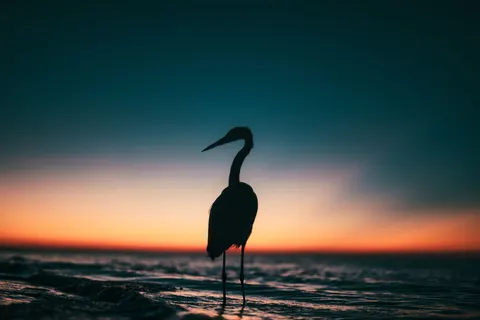 Gradient Horizon 4K Wallpaper · minimal · 3840×2560