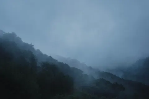 Misty Woods 4K Wallpaper · minimal · 3840×2560