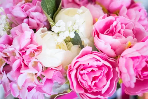 Peony 4K Wallpaper · flowers · 3840×2560