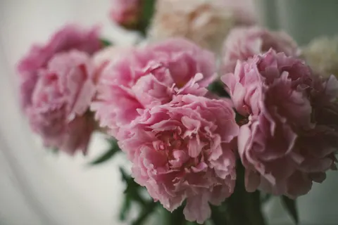 Peony 4K Wallpaper · flowers · 3840×2560