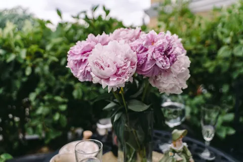 Peony 4K Wallpaper · flowers · 3840×2560