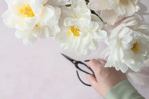 Sfondo Peonia 4K · flowers · 3840×2560