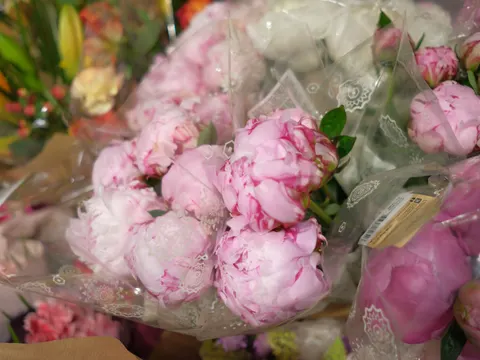 Peony 4K Wallpaper · flowers · 3840×2882