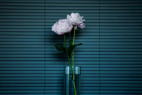 पियोनी 4K वॉलपेपर · flowers · 3840×2560