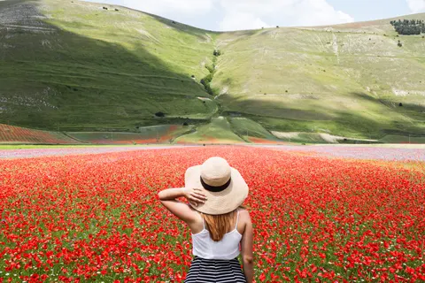 Poppy Field 4K Wallpaper · flowers · 3840×2560