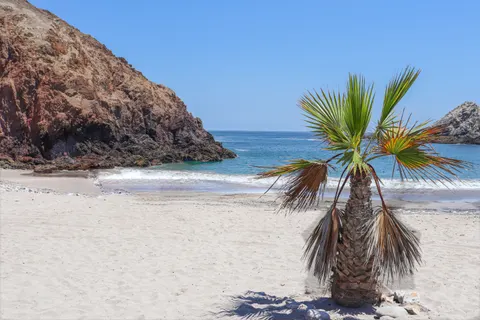 Tropical Paradise 4K Wallpaper · tropical · 3840×2560