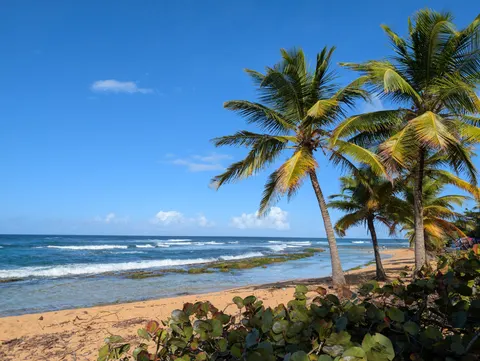 Tropical Paradise 4K Wallpaper · tropical · 3840×2891